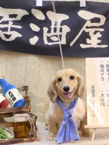 20240620こなつちゃん